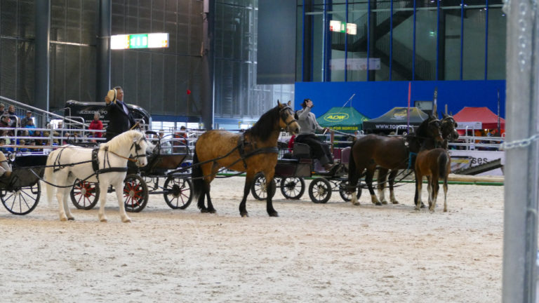 ANIMAL TECH Brno