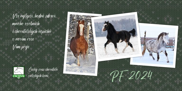 PF 2024